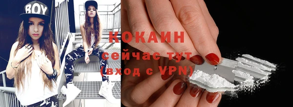 гашик Богданович