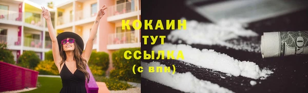 прущие крисы Белокуриха
