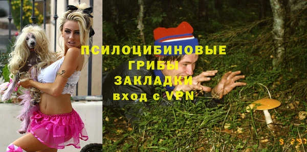 PSILOCYBIN Белоозёрский