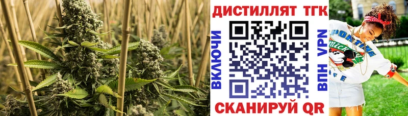Купить закладки  Мелеуз  ТГК жижа 