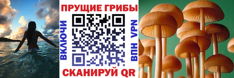 Галлюциногенные грибы GOLDEN TEACHER  Купить где  Мелеуз 